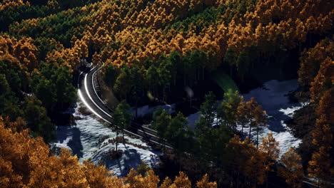 Hermoso-Camino-De-Invierno-Visto-Desde-Arriba