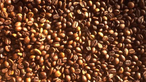 Close-up-of-seeds-of-coffee