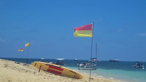 lifeguard flags waving in wind on beach at green island at the great barrier reef