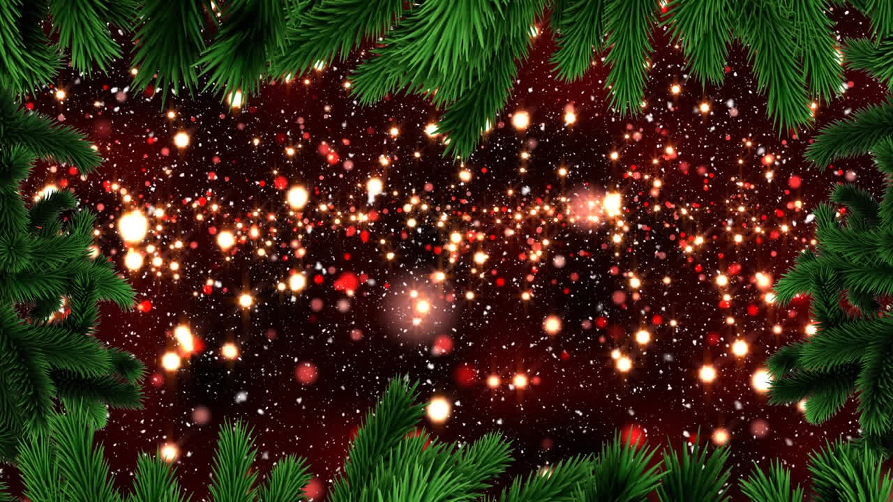 스 ⁇  위 에 있는 소나무 프레임 의 애니메이션