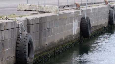 Dock-bumpers-at-Aarhus-harbour,-hangs-on-the-side-of-the-harbor-edge