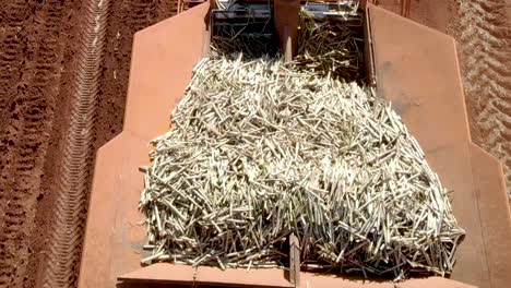 tractor automatizado plantando caña de azúcar en brasil