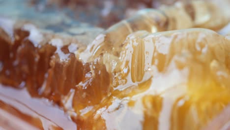 close up of honeycomb with dripping honey