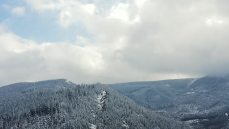 aerial shot of snowy mountain range covered by dense evergreen forest under a partially cloudy sky. establishing wide drone shot.
