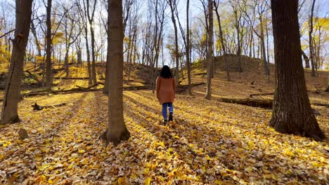 Otoño-En-Minnesota-Video-De-Viaje-Chica-Caminando-En-Un-Bosque