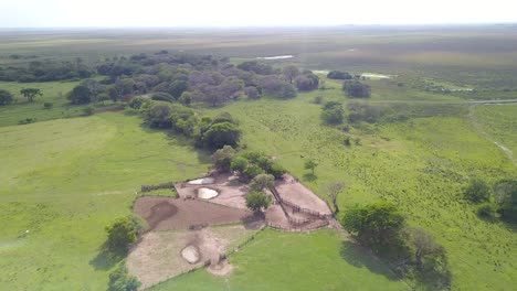 Feuchtgebiete-Im-Nordosten-Argentiniens,-Fotografiert-Mit-Drohne
