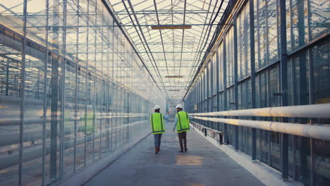 empty manufacture workers talking about horticulture industry in green uniform