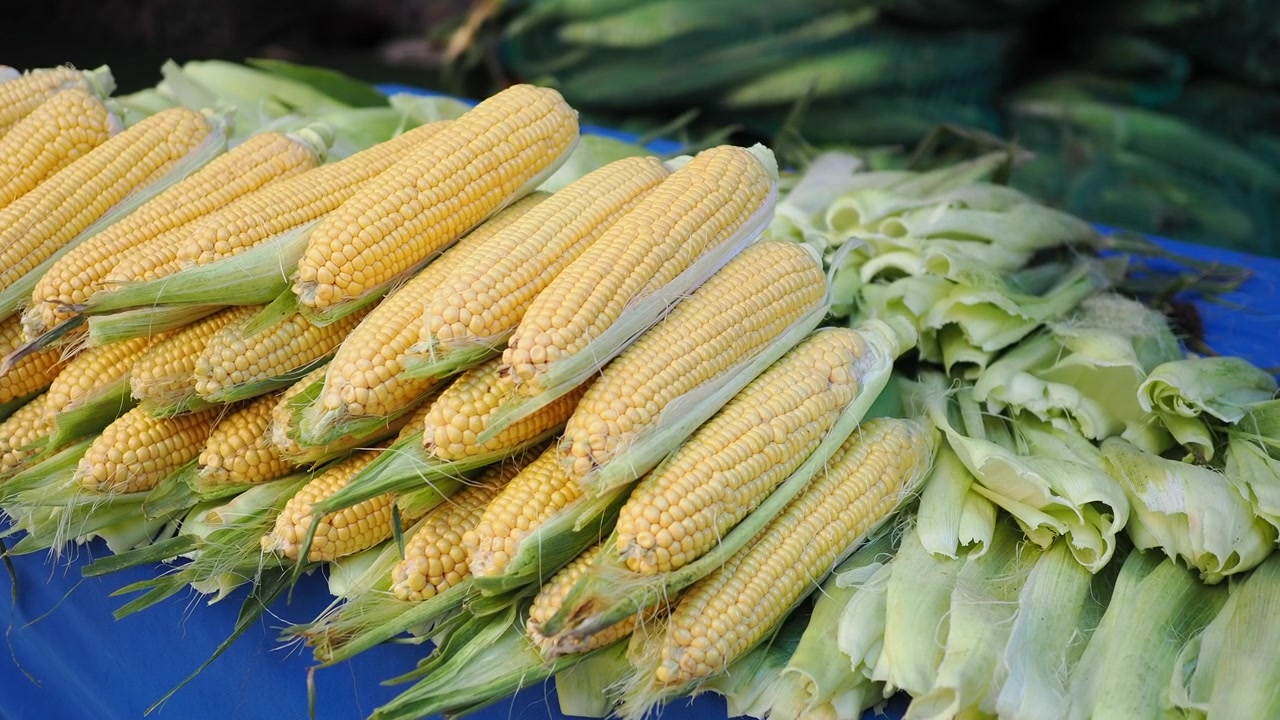 Penjual Mengupas Jagung Tongkol Segar di Pasar