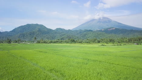 Mountain-and-Mayon-Volcano-at-a-Distant-Revealed