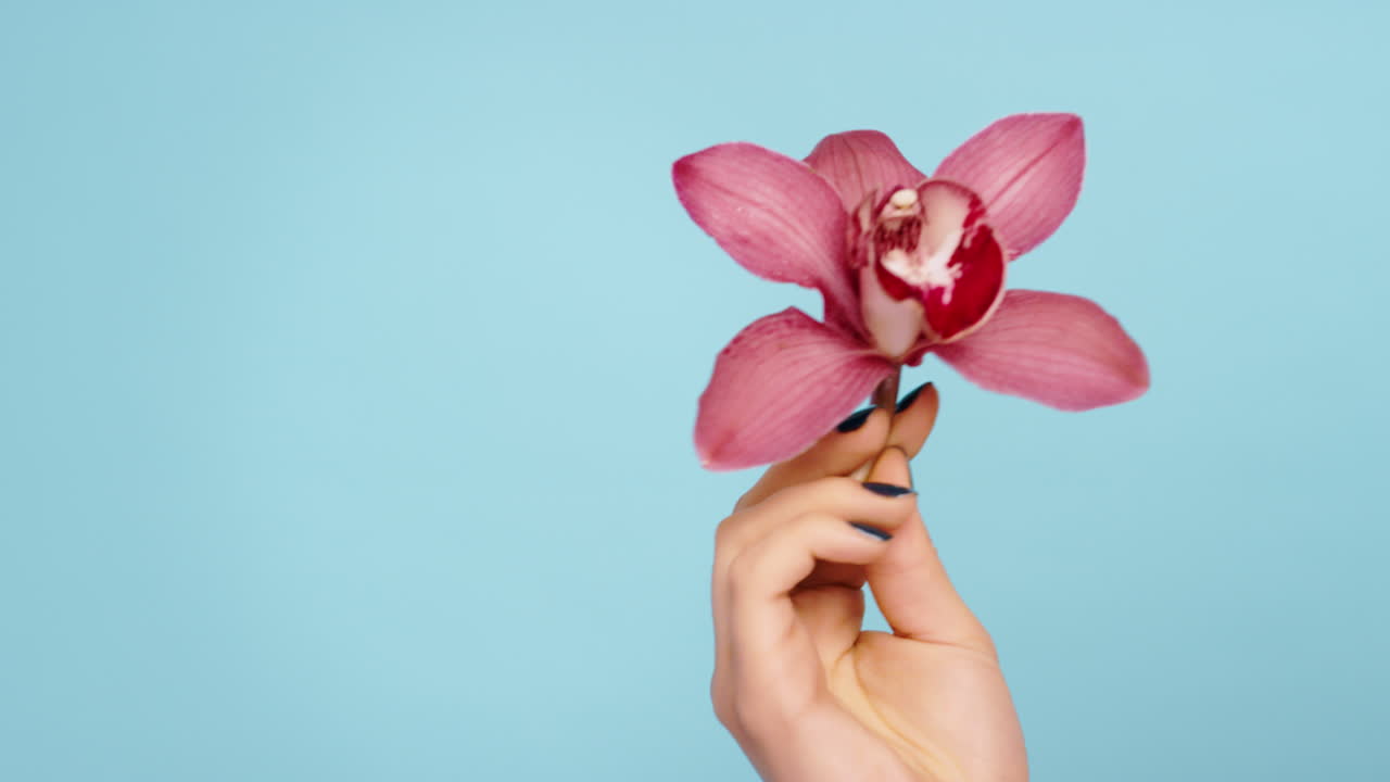 피부 관리, 아름다움 및 여성의 초상화