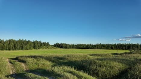 discover the breathtaking expanse of greenery and serene landscapes that define yakutia's natural beauty under a brilliant blue sky