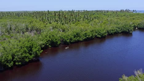 Small-boat-with-man-rowing-along-banks-of-river-surrounded-by-mangrove-forest