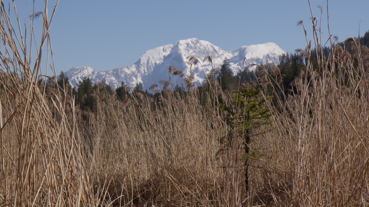 Rural Landscape With Fields And Snowy Mountains Near Hintersee Lake In Germany. Wide Shot