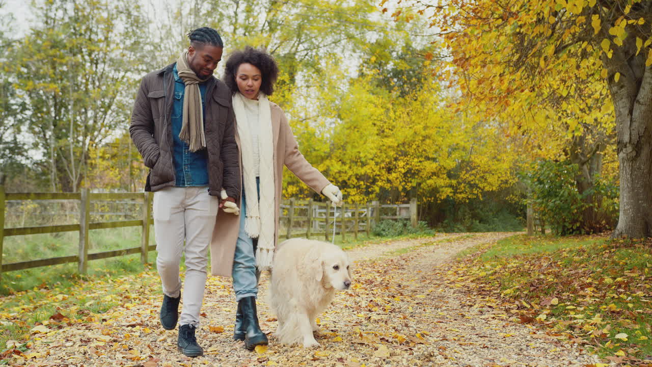 una pareja caminando con su mascota golden retriever a través del campo de otoño juntos - filmado en cámara lenta