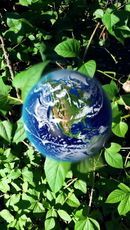 green leaves and nature detail
