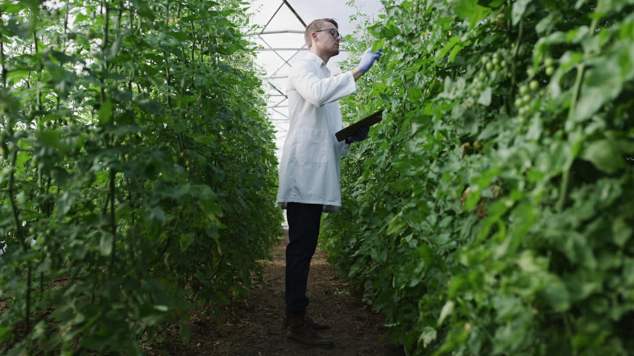un guapo joven agricultor inspeccionando las plantas