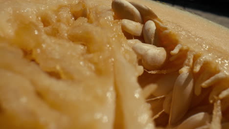 Macro-close-up-slide-across-the-inside-of-a-cantaloupe-melon