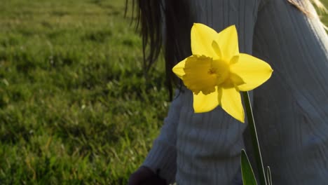 carefree woman relaxing in meadow with daffodils