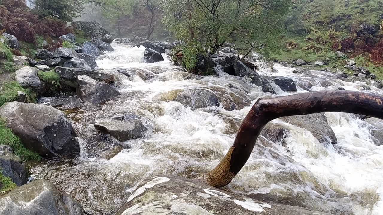 Slow motion: maltempo con pioggia intensa, allagamento della riva del fiume, torrente impetuoso durante una tempesta.