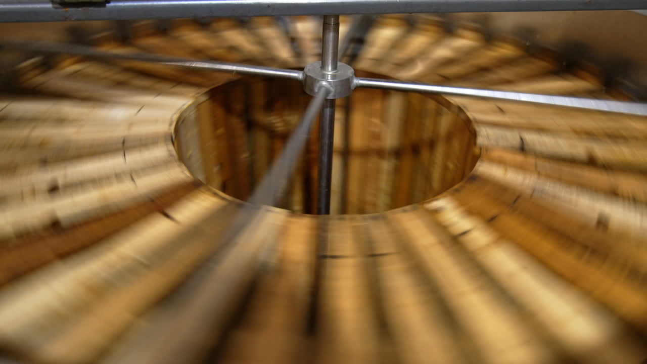 Process of honey extraction in the electric centrifuge device. Many wooden frames are rotated for taking honey out of cells.