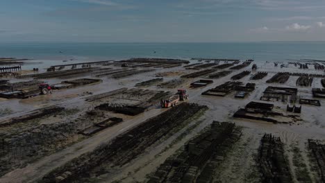 aerial 4k drone footage of a large oyster farm, terrain de culture d‘huîtres, on the beach of cancele, brittany, france