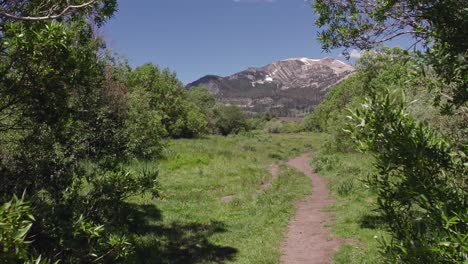 4k drone footage rising high above a lush green meadow with mammoth mountain and mammoth lakes in the distance