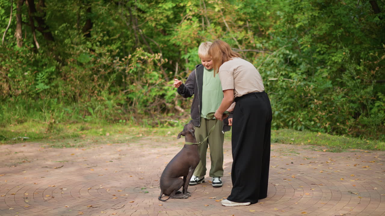 Calm Guidance Fosters Canine Obedience, Patience And Gentle Touch Strengthen Training Connection, Quiet Environment And Consistent Treats Enhance Bond Between Handler And Dog During Training