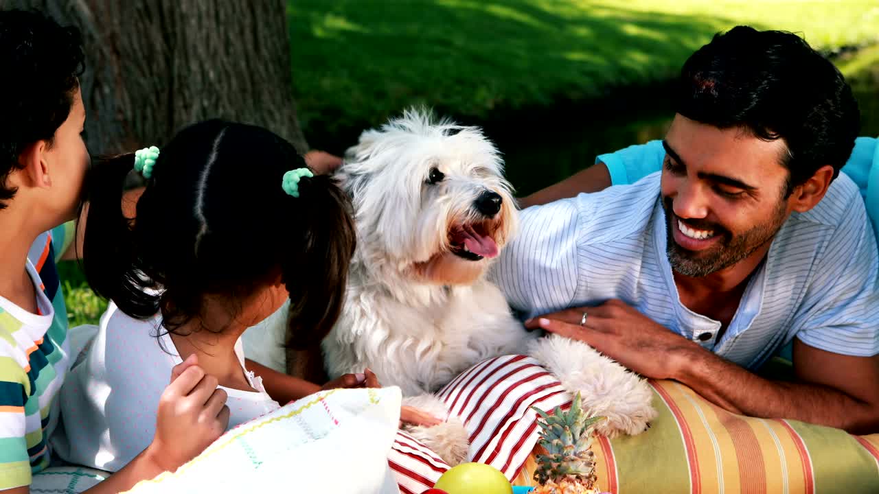 공원 에서 애완견 과 함께 즐기는 가족