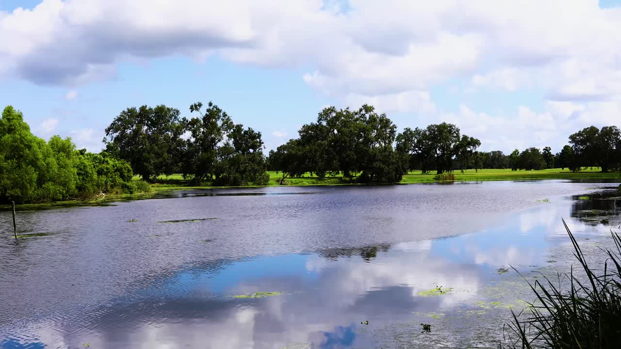 루이지애나 뉴올리언스의 시티 파크에 있는 쿠투리 숲 운하