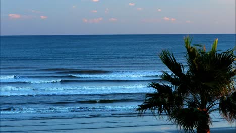 Palm-trees-and-ocean-surf-rolls-into-the-shoreline-at-dusk