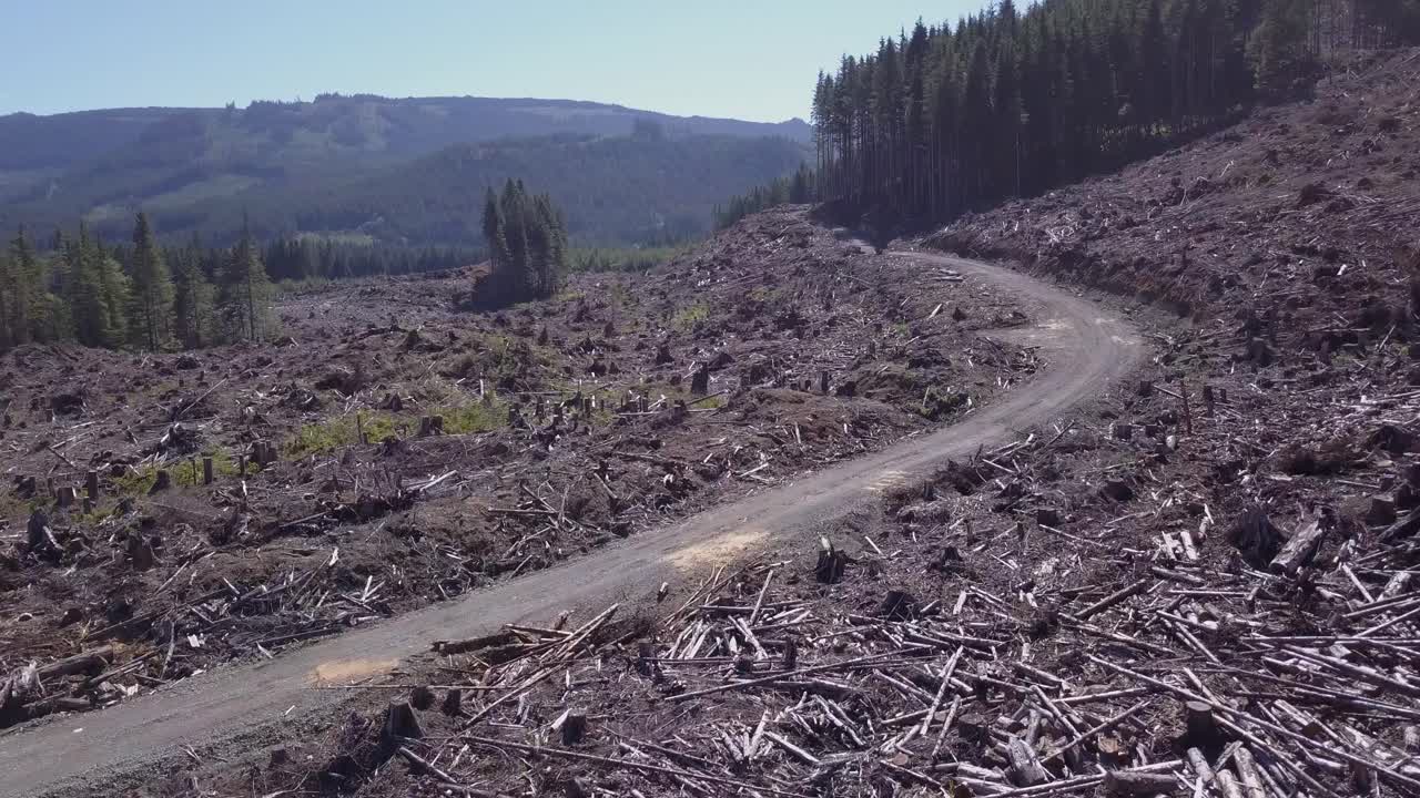 Long slow flight over logging landscape