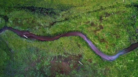 hermoso dron aéreo a vista de pájaro de un pequeño arroyo salvaje rodeado por un campo de hierba que conduce al lago del embalse del prado de anderson hasta el cañón del castor en utah en un cálido día de verano