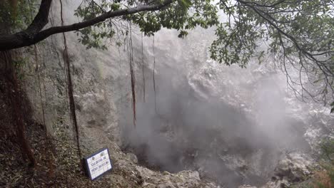 fotografía de una cámara de camiones de un manantial volcánico natural caliente con algo de vegetación y vapor moviéndose hacia arriba, azores
