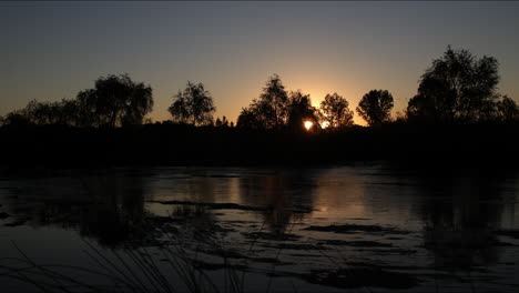 Zeitraffer-Bei-Sonnenuntergang-Eines-Langsam-Fließenden-Feuchtgebietsflusses-Mit-Fliegenden-Vögeln