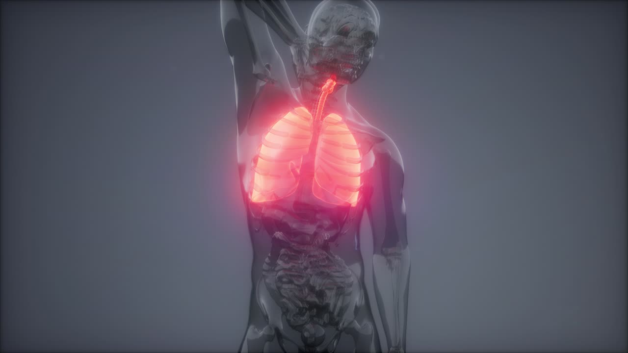 examen radiológico de los pulmones humanos