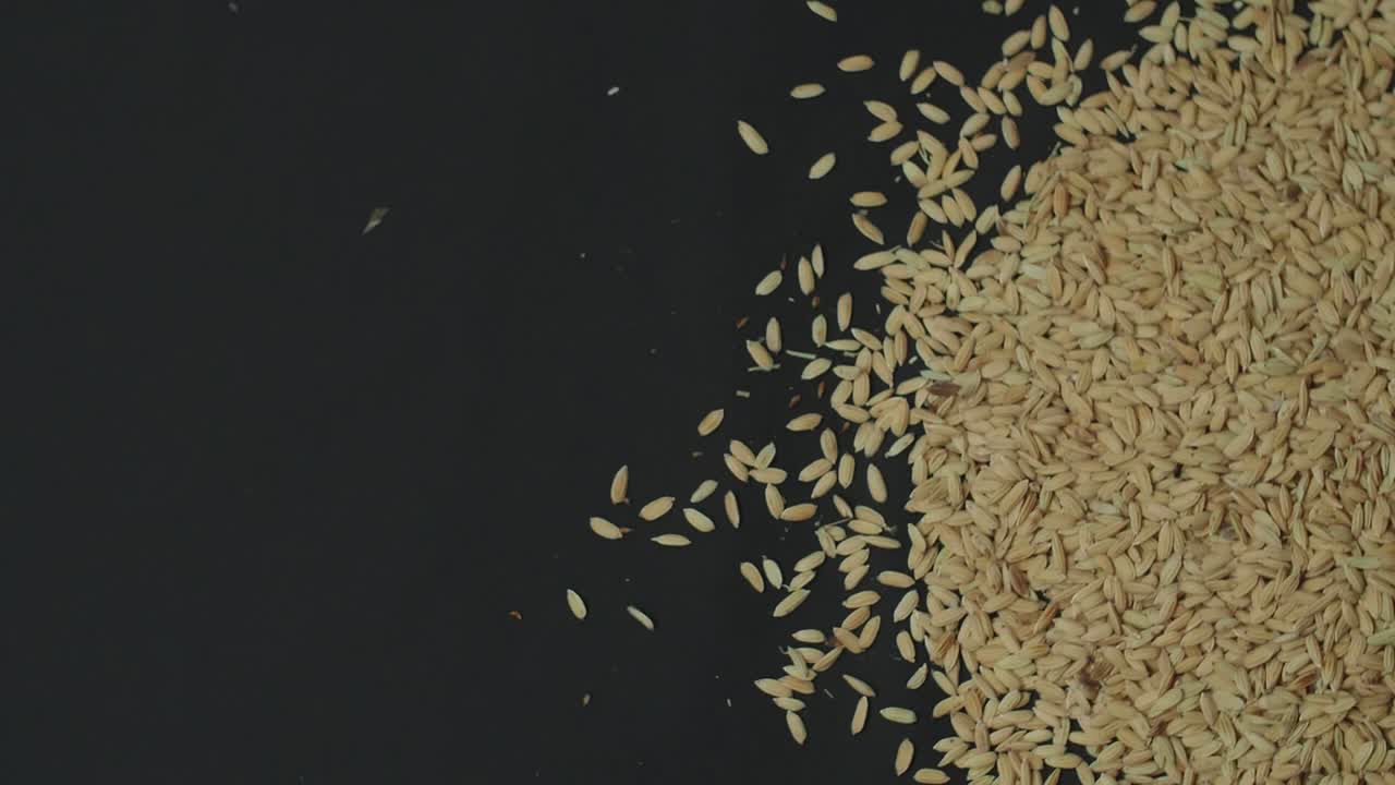 Slow Motion Someone Pouring Rice Grain Over A Light Background