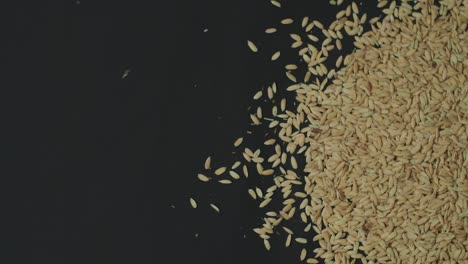 slow motion someone pouring rice grain over a light background