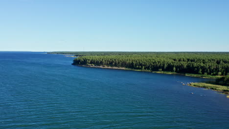 moving away over the sea from a forest-covered coastline