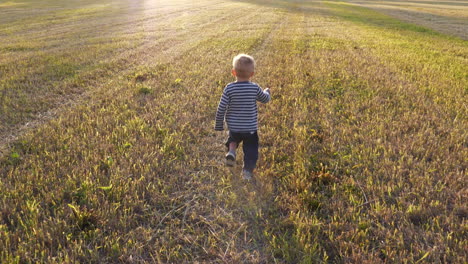 young boy running in field towards golden sunlight