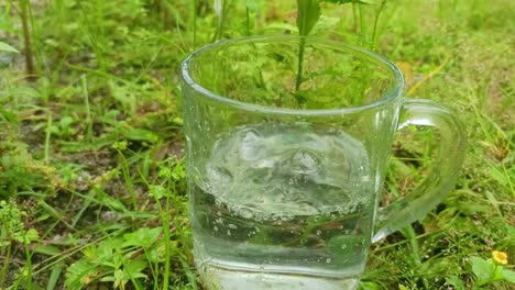 Vierta-Agua-En-Una-Taza-De-Vidrio