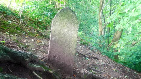marcador de milla de piedra sepulcral en la parte superior de la ladera del bosque arbolado al amanecer.