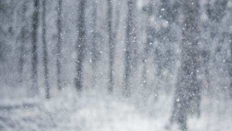 winter landscape during snowfall. winter christmas abstract background on super slow motion.