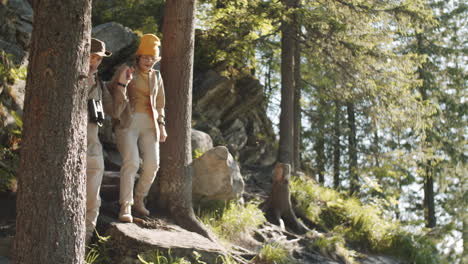 senior couple hiking in the forest