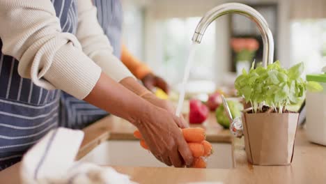 sección media de mujer mayor afroamericana en delantal enjuagando verduras en la cocina, cámara lenta