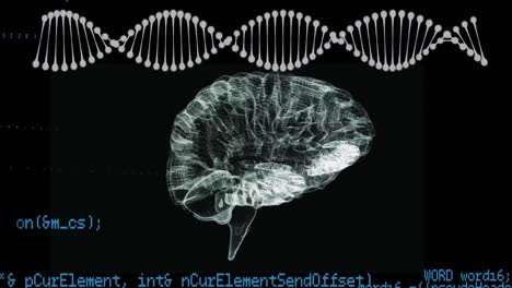 dna helix and human brain