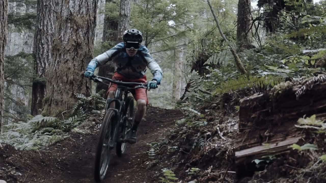 A mountain biker wearing red shorts and a blue jersey rides down a rugged forest trail surrounded by towering trees and ferns. The motion and focus reflect adventure and technical skill.