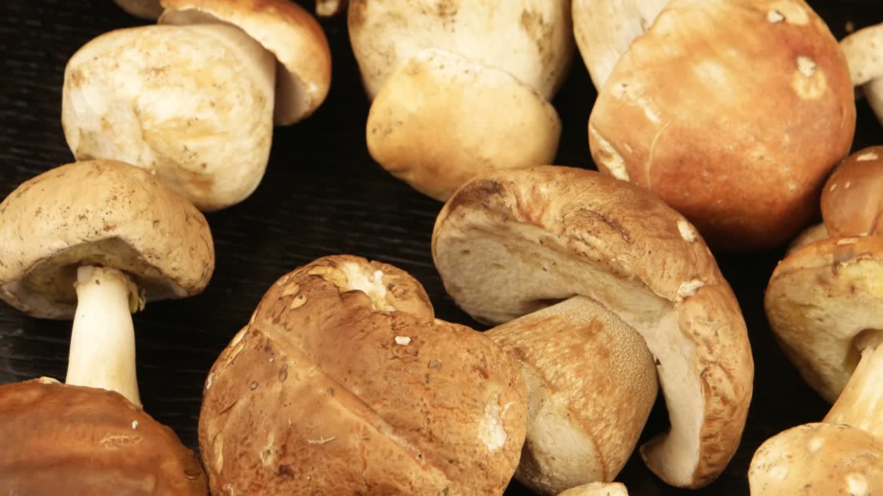 los hongos porcini están en la mesa.