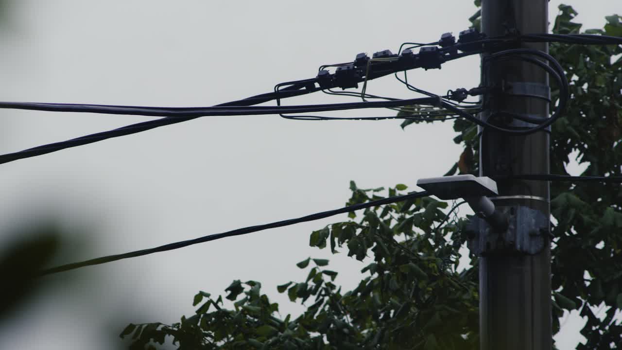 Electrical power cables tied to utility pole on grey overcast rainy day