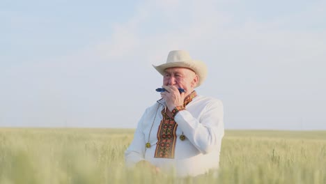 an old ukrainian grandfather plays the harmonica he is dressed in an embroidered jacket an old ukrainian grandfather plays the harmonica he is dressed in an embroidered jacket old grandfather in the wheat field