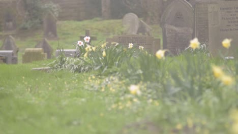 Alter-Friedhof-Im-Ländlichen-England